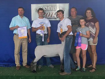 Kampen Club Lambs Winners