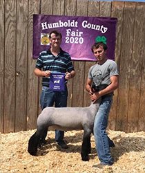 Kampen Club Lambs Winners